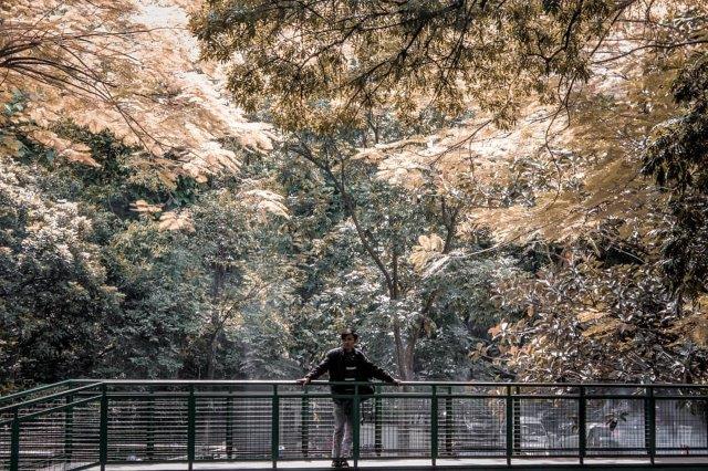 Harga Tiket Masuk dan Jalan Menuju Babakan Siliwangi Bandung 1