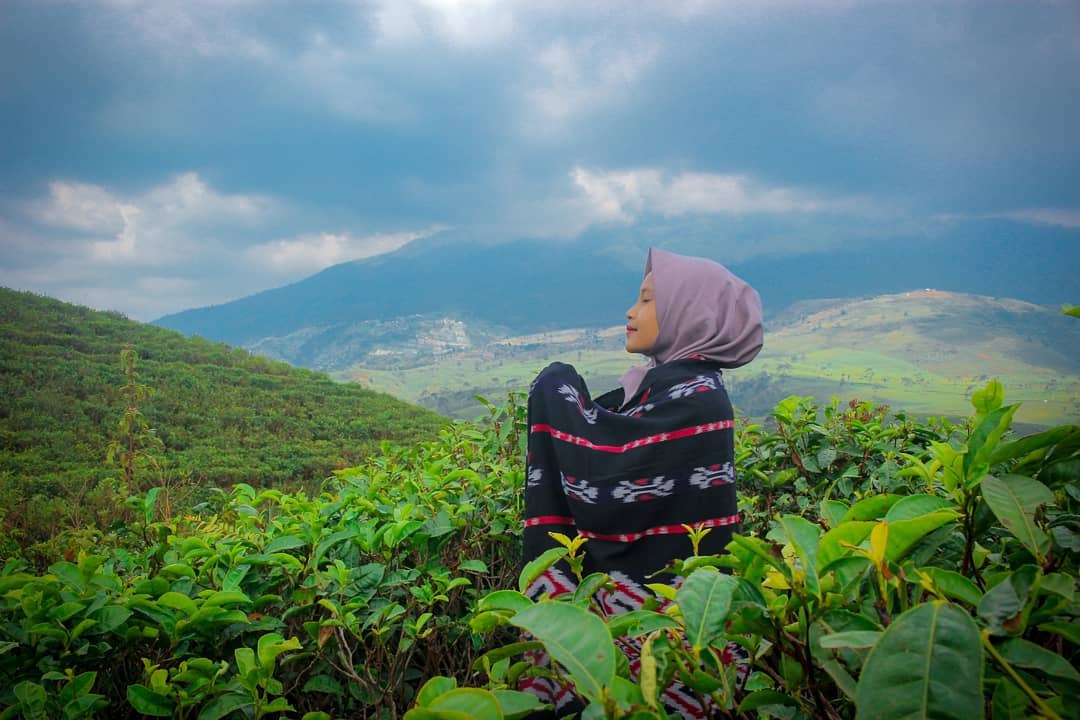 Wisata Kebun Teh Kemuning Karanganyar 5