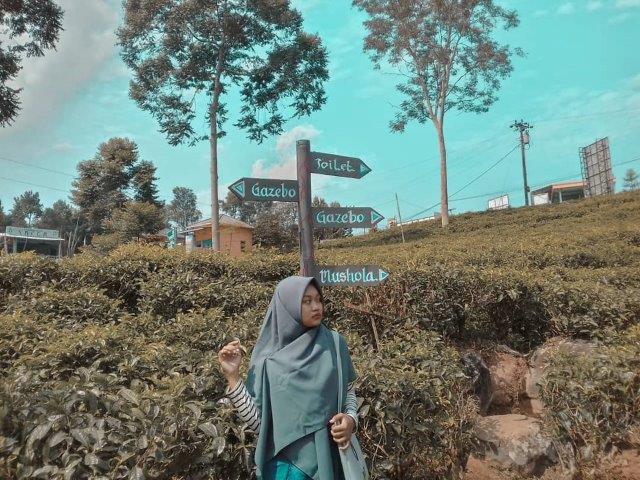 Wisata Kebun Teh Kemuning Karanganyar 9