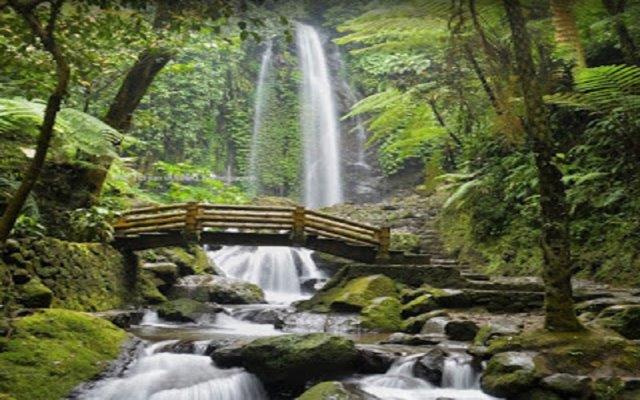 6 Rekomendasi Wisata Air Terjun Terdekat di Daerah Solo, Bikin Kamu Gak Ingin Beranjak 2