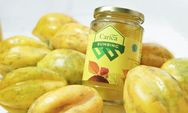 10 Rekomendasi Makanan Khas di Daerah Wonosobo Paling Enak dan Siap Memanjakan Lidahmu 3 10 Rekomendasi Makanan Khas di Daerah Wonosobo Paling Enak dan Siap Memanjakan Lidahmu 2