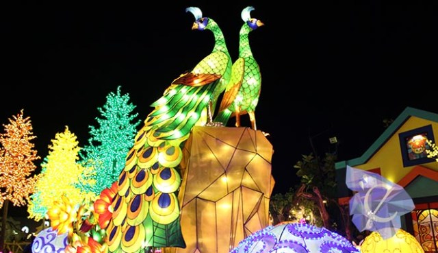 Malang Night Paradise, Mas Anang dan Ashanty Pernah Kesini 5 Malang Night Paradise, Mas Anang dan Ashanty Pernah Kesini 5