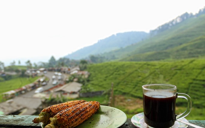 6 Rekomendasi Tempat Nongkrong Dengan Nuansa Alam Yang Asri di Puncak, Wajib Kalian Kunjungi! 6