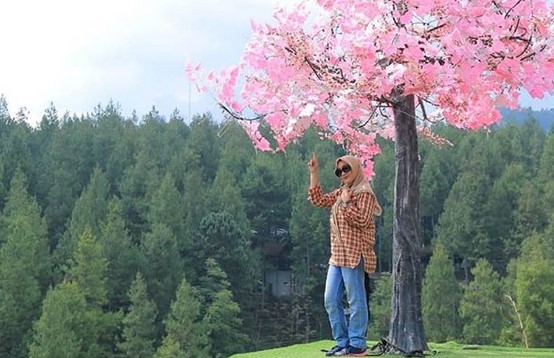 Dago Dream Park, Serunya Menikmati Wisata Kekinian di Alam Pegunungan 4