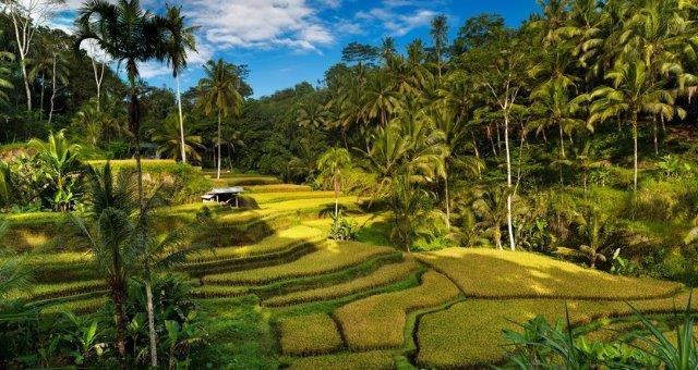 10 Spot Foto Terbaru dan Kekinian di Bali, Wajib Kamu Kunjungi! 3