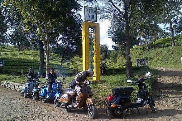 Segarnya Berwisata di Hamparan Kebun Teh Sukawana Bandung 9