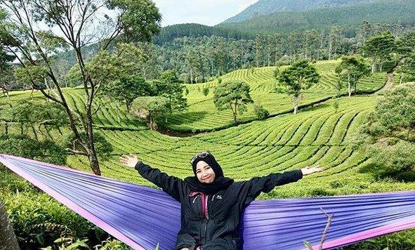 Kebun teh sukawana lembang kabupaten bandung barat jawa tiket masuk parongpong west regency java sejarah lokasi htm di jalan ke alamat harga menuju wisata