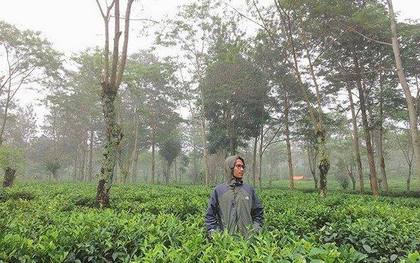 Segarnya Berwisata di Hamparan Kebun Teh Sukawana Bandung 2