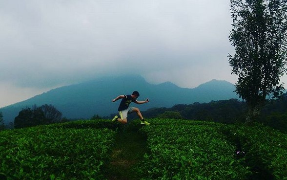 Segarnya Berwisata di Hamparan Kebun Teh Sukawana Bandung 4