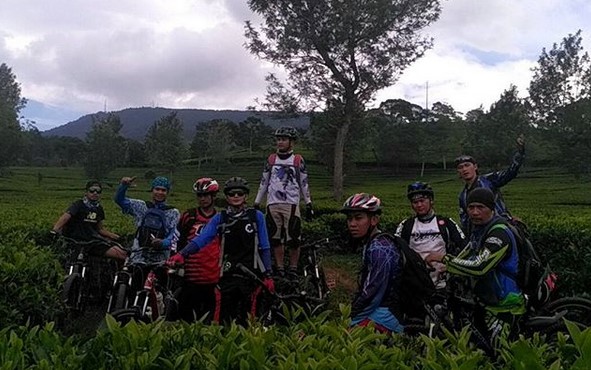 Segarnya Berwisata di Hamparan Kebun Teh Sukawana Bandung 6