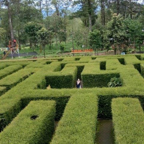 Harga Tiket Masuk Coban Rondo Malang 5 Harga Tiket Masuk Coban Rondo Malang 4