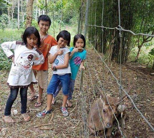 Mengunjungi Rumah Pohon di Tengah Hutan Taman Buru Masigit Kareumbi 10 Mengunjungi Rumah Pohon di Tengah Hutan Taman Buru Masigit Kareumbi 9