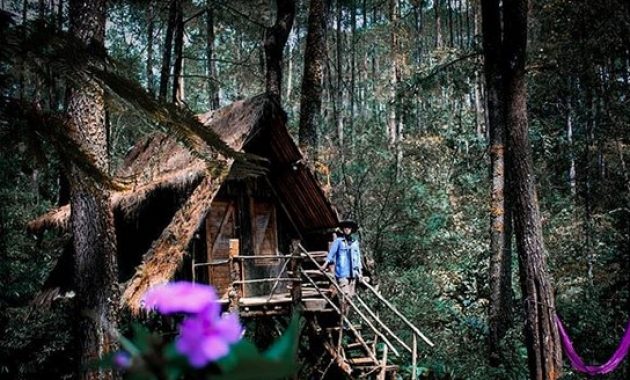 Taman buru masigit kareumbi sumedang dimana review gambar tempat wisata lokasi gunung kawasan konservasi gn. Bandung jawa barat alam di timur