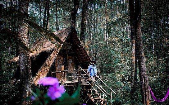 Mengunjungi Rumah Pohon di Tengah Hutan Taman Buru Masigit Kareumbi 1 Taman buru masigit kareumbi sumedang dimana review gambar tempat wisata lokasi gunung kawasan konservasi gn. Bandung jawa barat alam di timur