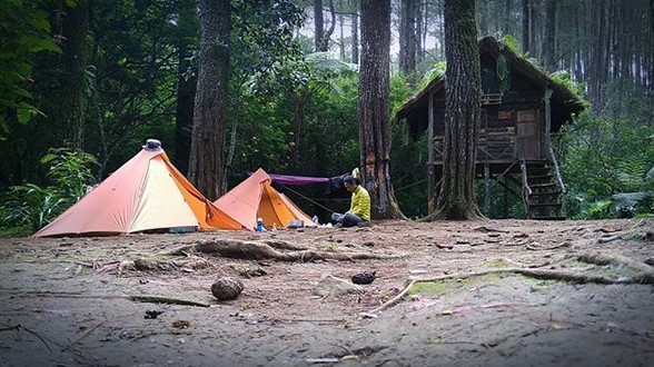 Mengunjungi Rumah Pohon di Tengah Hutan Taman Buru Masigit Kareumbi 3 Mengunjungi Rumah Pohon di Tengah Hutan Taman Buru Masigit Kareumbi 2