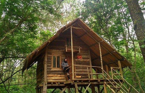 Mengunjungi Rumah Pohon di Tengah Hutan Taman Buru Masigit Kareumbi 5 Mengunjungi Rumah Pohon di Tengah Hutan Taman Buru Masigit Kareumbi 4