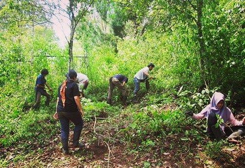 Mengunjungi Rumah Pohon di Tengah Hutan Taman Buru Masigit Kareumbi 8 Mengunjungi Rumah Pohon di Tengah Hutan Taman Buru Masigit Kareumbi 7