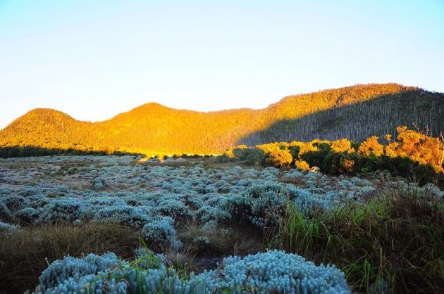 Gunung Papandayan Garut, Pesonanya Bikin Betah 5
