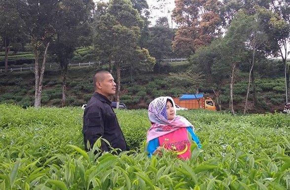 Pemandian Air Panas Ciwalini, Serunya Berenang di Sumber Alami 4 Pemandian Air Panas Ciwalini, Serunya Berenang di Sumber Alami 3