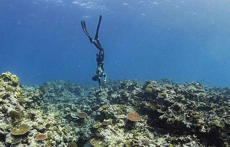 Yuk Snorkeling Atau Mancing di Pulau Tegal Mas 2