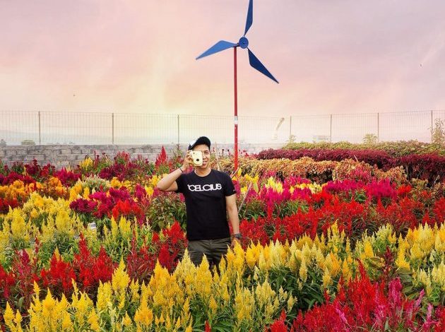 Baru Dibuka! Taman Bunga Axelia di Pinggir Rawa Pening Ambarawa Semarang 1