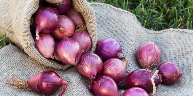 Mudik Ke Nganjuk, Jangan Lupa Bawa 10 Oleh-Oleh Ini Untuk Orang Tersayang 5
