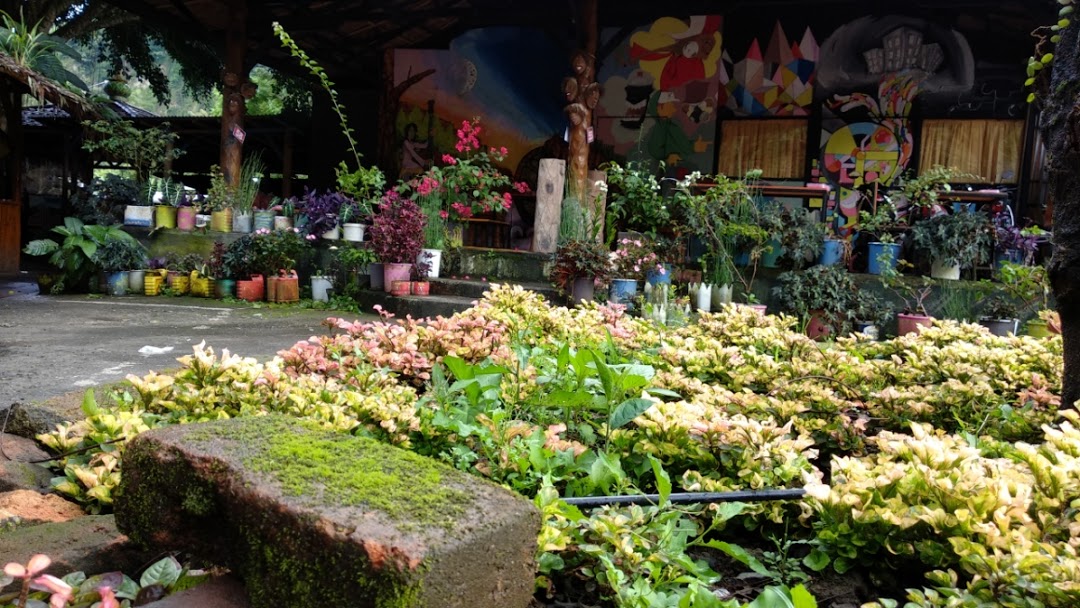 10 Daftar Pilihan Cafe Hits dan Instagenic di Daerah Bukittinggi, Photo Hunter Wajib Merapat! 8