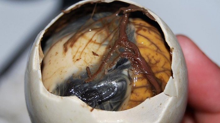 10 Rekomendasi Makanan Khas di Negara Thailand Yang Enak Gurih dan Ekstrim, Berani Coba? 4