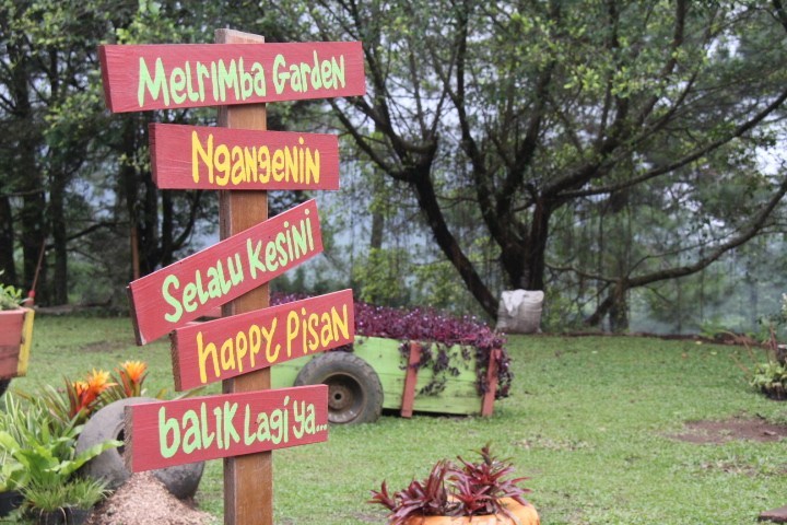 6 Rekomendasi Destinasi Wisata Malam Hari Daerah Puncak Yang Hits Banget Ini Wajib Dikunjungi 4 6 Rekomendasi Destinasi Wisata Malam Hari Daerah Puncak Yang Hits Banget Ini Wajib Dikunjungi 4