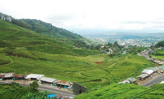 6 Rekomendasi Destinasi Wisata Malam Hari Daerah Puncak Yang Hits Banget Ini Wajib Dikunjungi 2 6 Rekomendasi Destinasi Wisata Malam Hari Daerah Puncak Yang Hits Banget Ini Wajib Dikunjungi 2