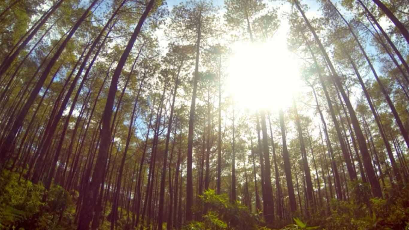 10 Referensi Tempat Wisata Malam Hari Paling Diburu Anak Muda Daerah Lembang, Wajib Kalian Kunjungi! 5