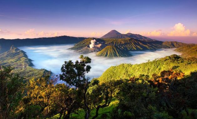 10 Daftar Paket Tour And Travel di Malang, Mulai Dari 250 Ribuan 10 10 Daftar Paket Tour And Travel di Malang, Mulai Dari 250 Ribuan 9