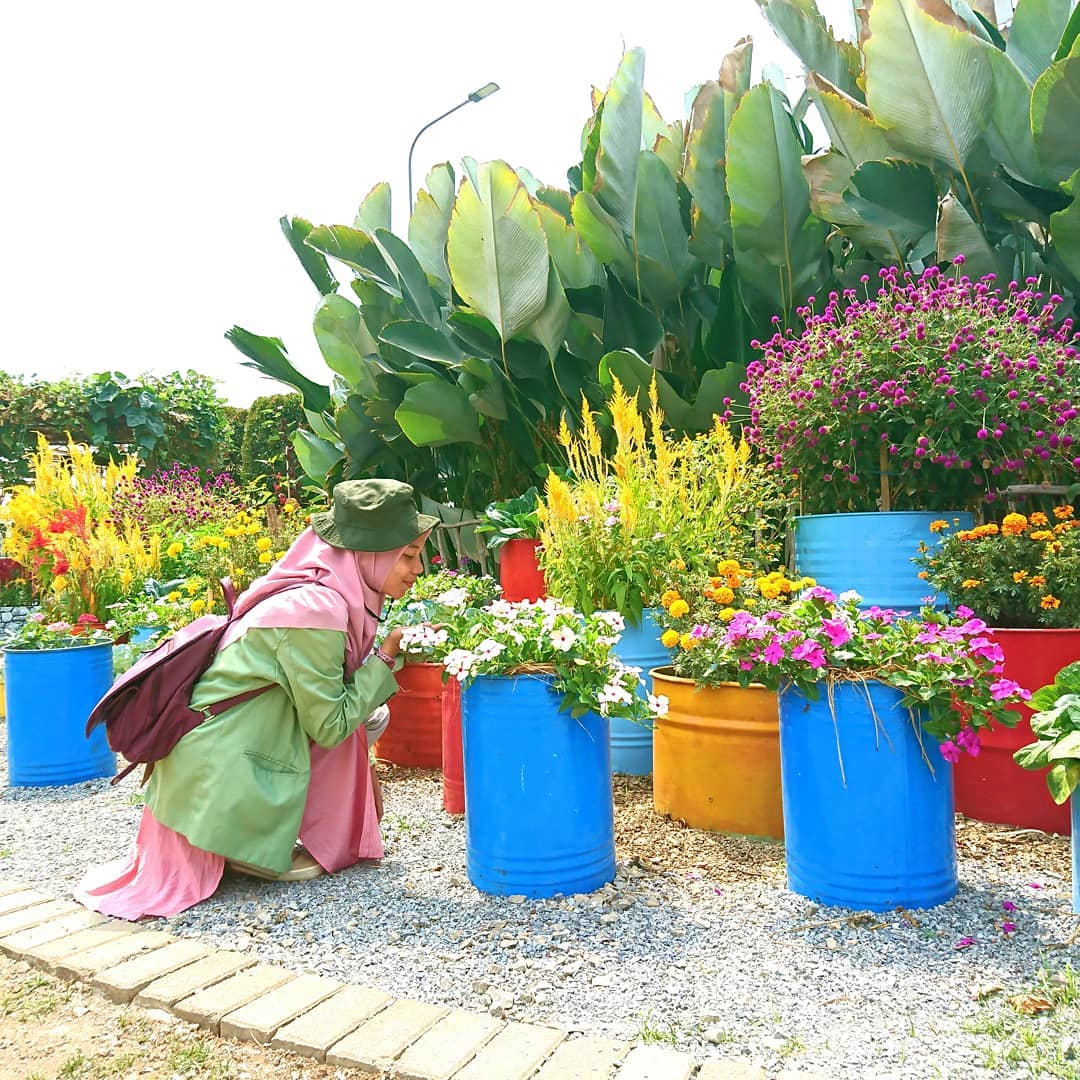 Berburu Spot Foto Instagramable di Urban Farming Purwakarta 5