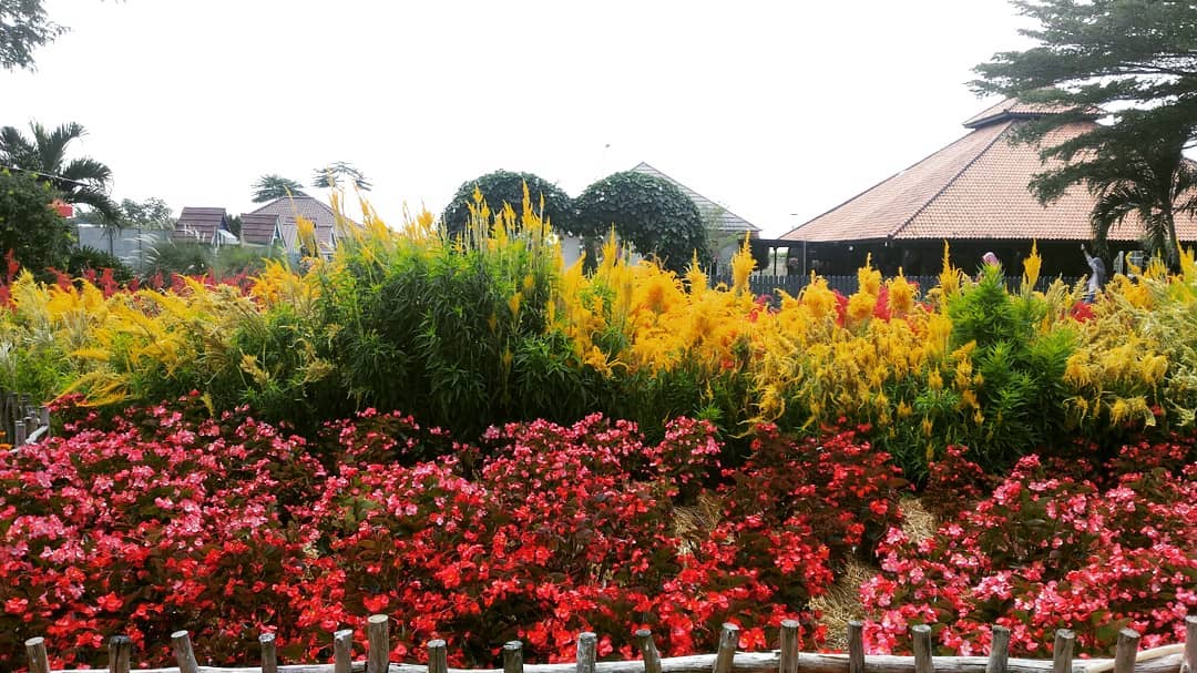 Berburu Spot Foto Instagramable di Urban Farming Purwakarta 4