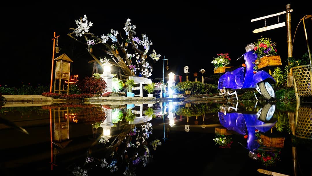 Cantiknya Taman Ramadanu, Kebun Bunga Celosia Hits di Magelang 3