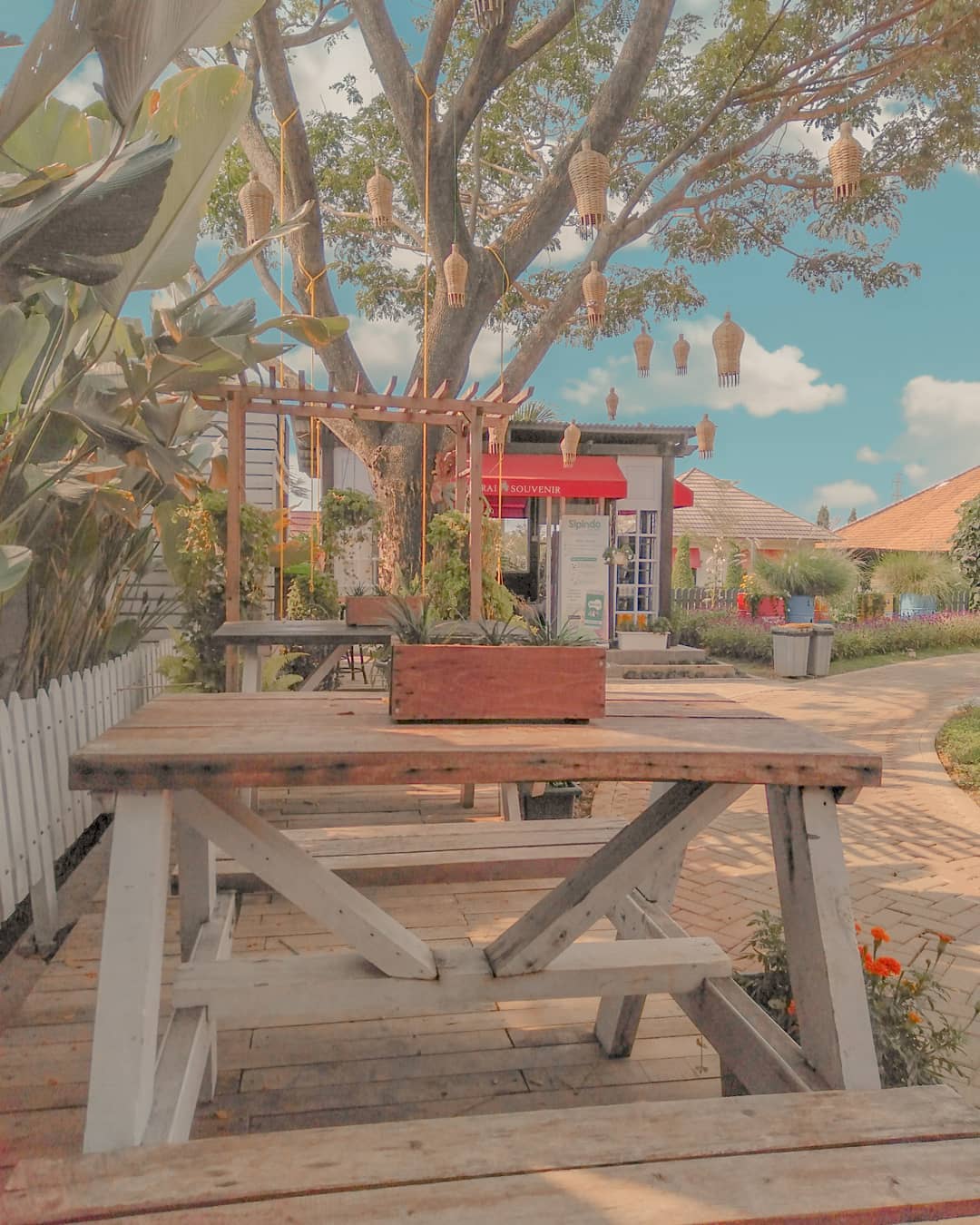 Berburu Spot Foto Instagramable di Urban Farming Purwakarta 3