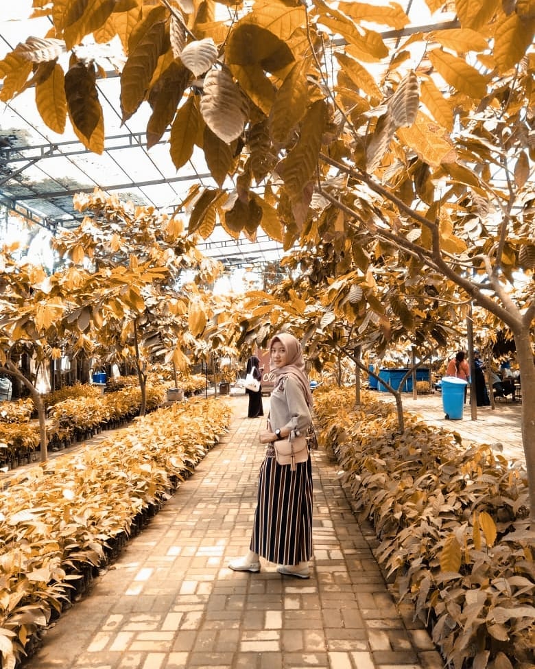 Serunya Berwisata di Kampung Coklat Blitar, Bersenang-Senang Sambil Belajar 10