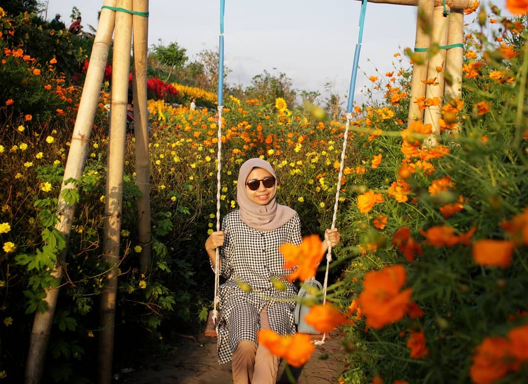 Serunya Berswafoto Ditengah Hamparan Bunga Warna Warni Resoinangun Garden 5