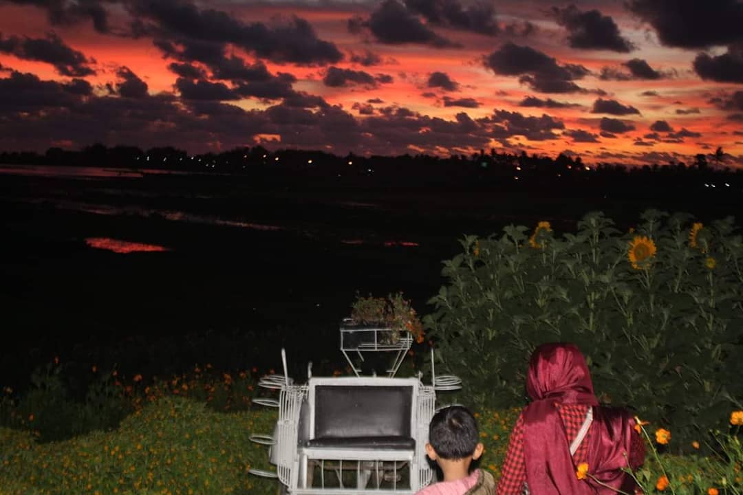 Serunya Berswafoto Ditengah Hamparan Bunga Warna Warni Resoinangun Garden 8