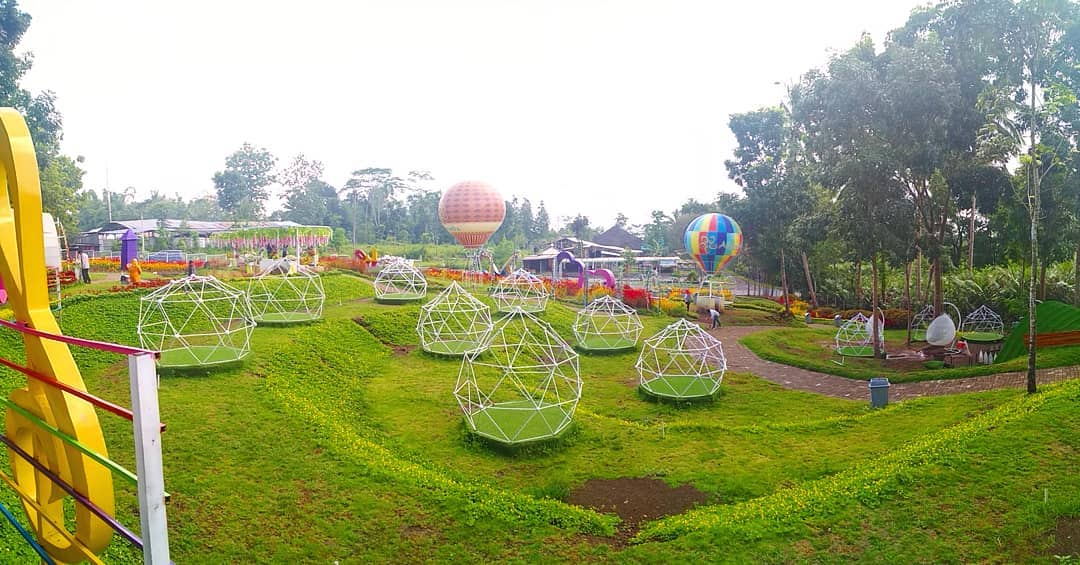 Keseruan Hunting Foto di Alamanda Jogja Flower Garden, Bikin Ogah Pulang! 2 Keseruan Hunting Foto di Alamanda Jogja Flower Garden, Bikin Ogah Pulang! 1