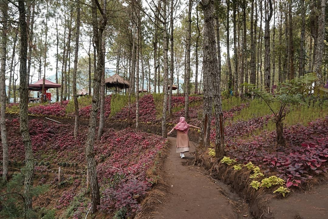 Potret Keseruan Plesiran di Geni Langit, Taman Wisata Instagramable di Magetan 2