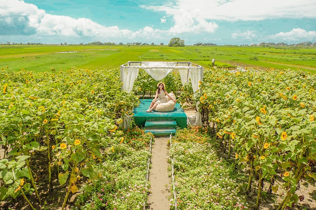 Serunya Berswafoto Ditengah Hamparan Bunga Warna Warni Resoinangun Garden 9