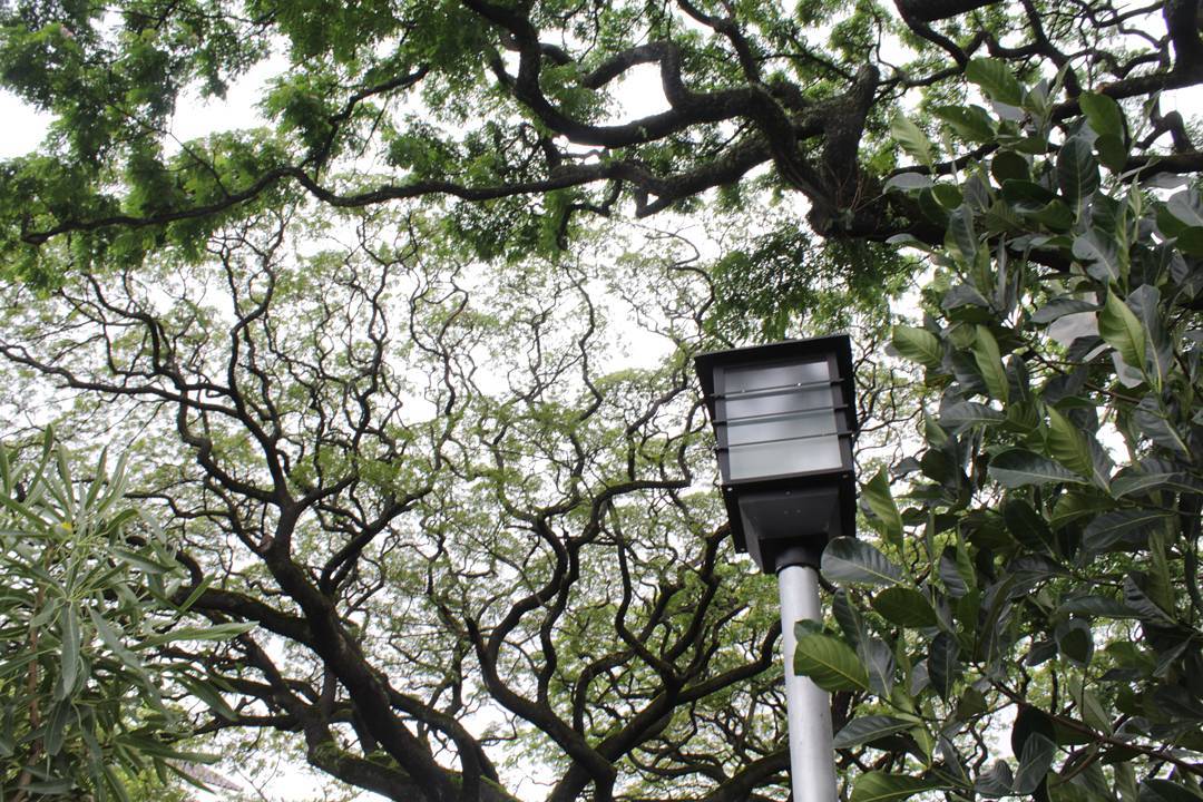 Potret Keseruan Nongkrong di Taman Foto Bandung, Bisa Usir Penat 1