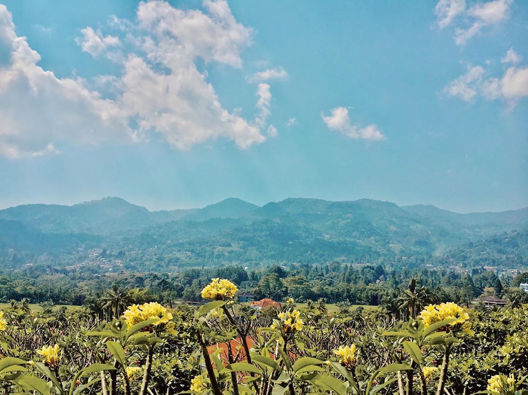 Liburan ke Puncak, Jangan Lewatkan Wisata Kuliner di Cimory Mountain View 9