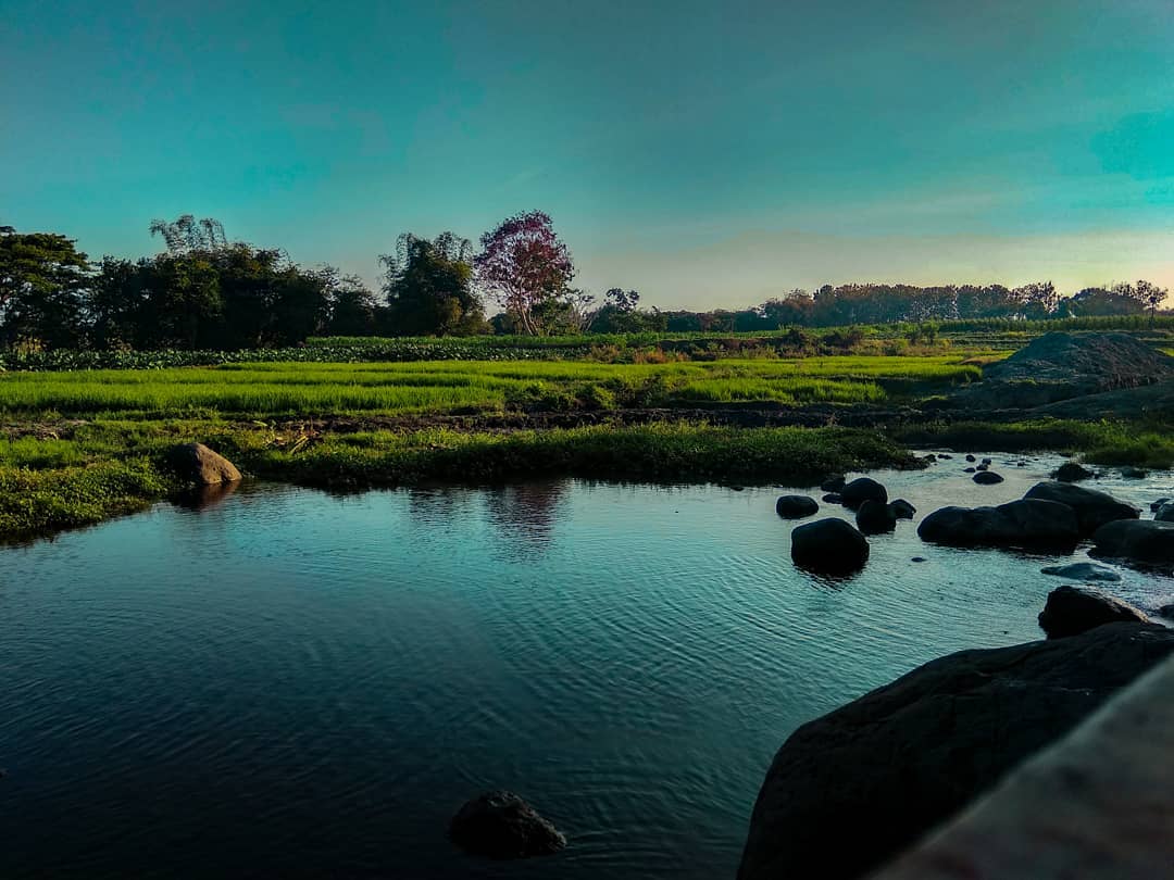 Melipir Ke Umbul Nilo Sepulang Kerja, Bisa Jadi Stress Healing Paling Manjur 8 Melipir Ke Umbul Nilo Sepulang Kerja, Bisa Jadi Stress Healing Paling Manjur 8
