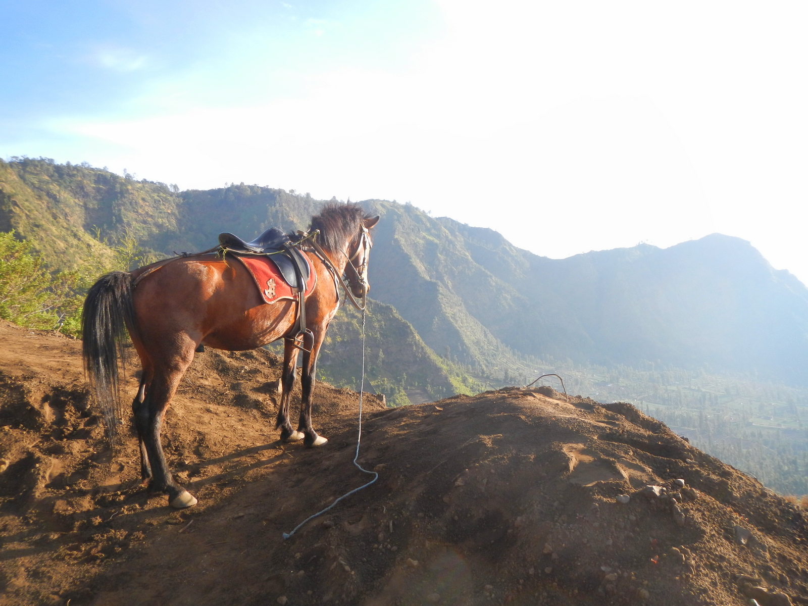 Keindahan Gunung Bromo 10
