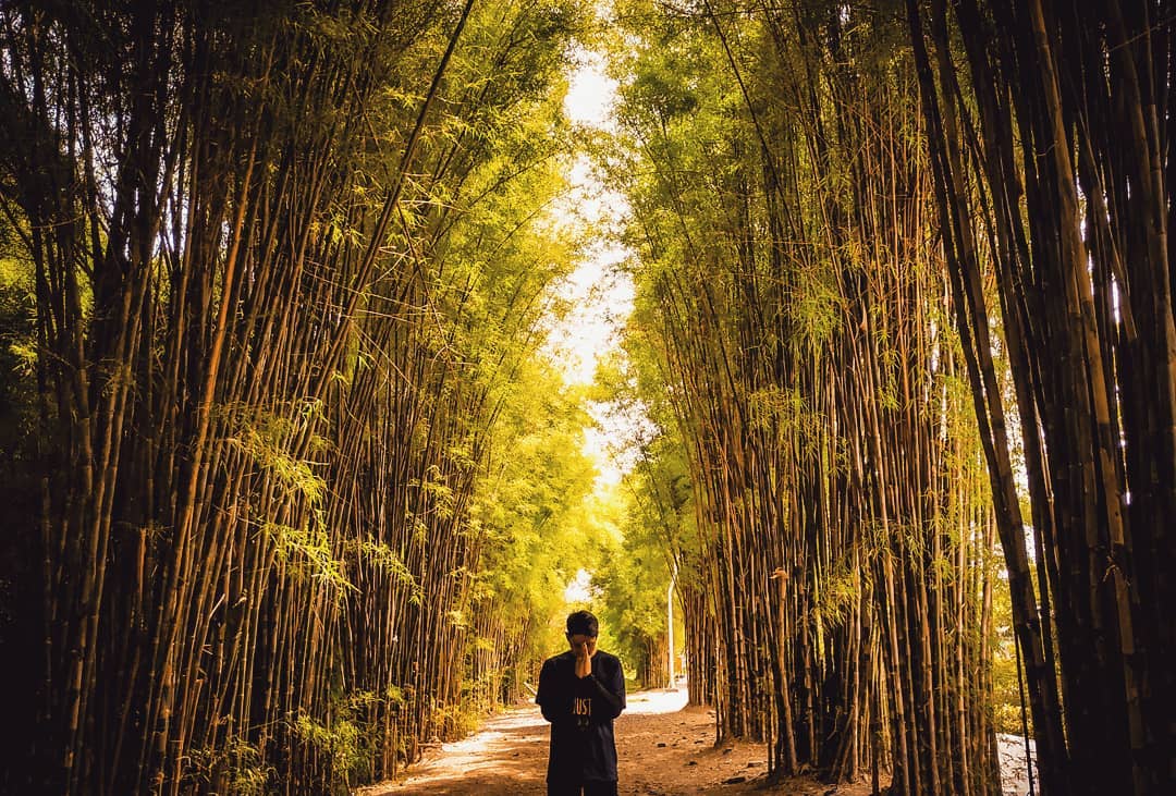 Hutan Bambu Surabaya, Cocok Untuk Foto Prewed 10