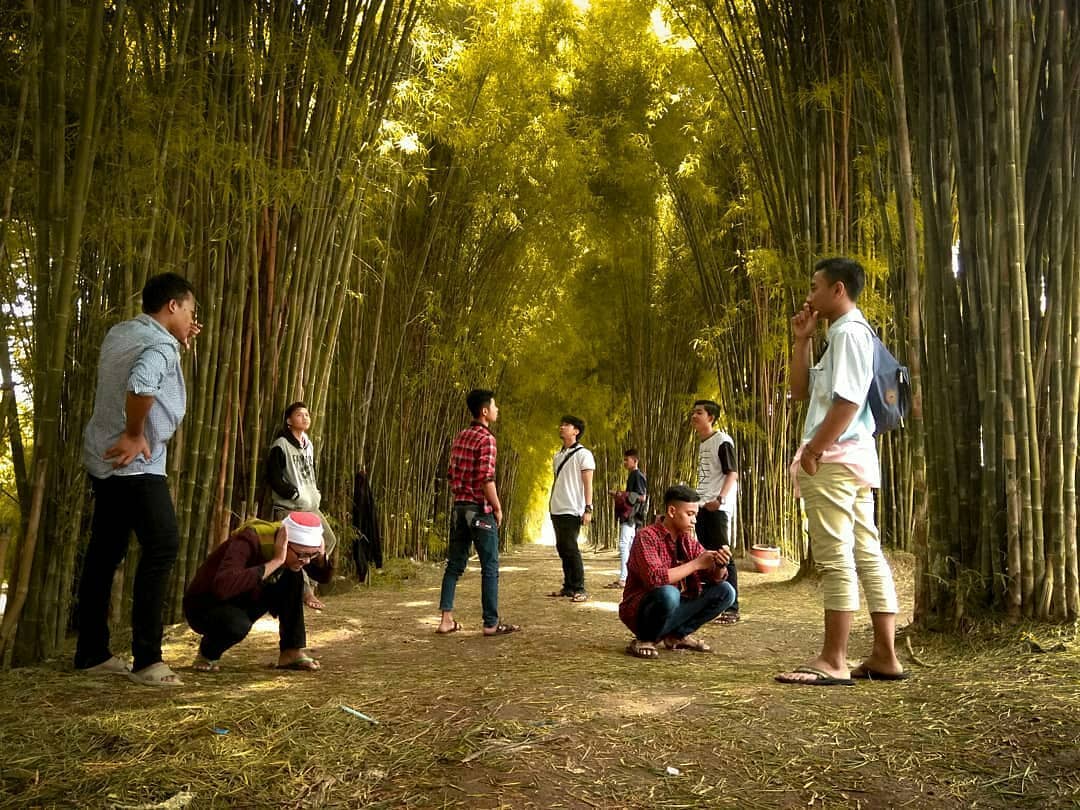 Hutan Bambu Surabaya, Cocok Untuk Foto Prewed 8