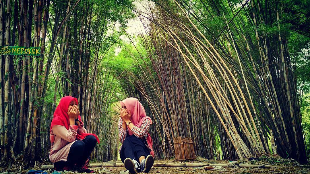 Hutan Bambu Surabaya, Cocok Untuk Foto Prewed 2