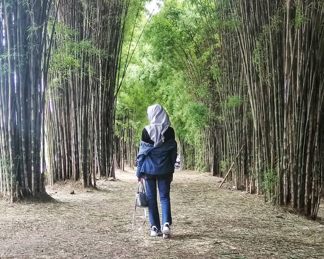 Hutan Bambu Surabaya, Cocok Untuk Foto Prewed 9